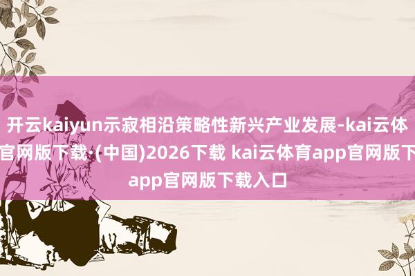 开云kaiyun示寂相沿策略性新兴产业发展-kai云体育ap