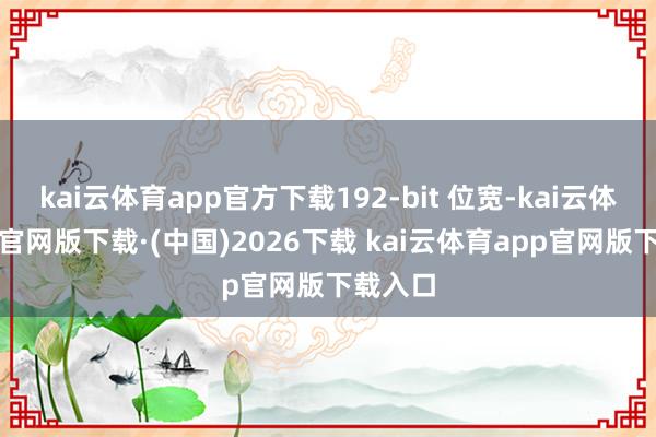 kai云体育app官方下载192-bit 位宽-kai云体育app官网版下载·(中国)2026下载 kai云体育app官网版下载入口
