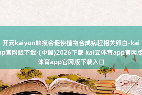 开云kaiyun触摸会促使植物合成病程相关卵白-kai云体育